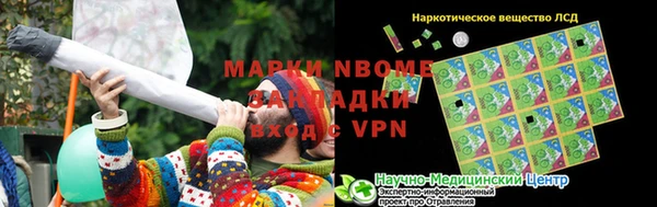 прущие грибы Алексин