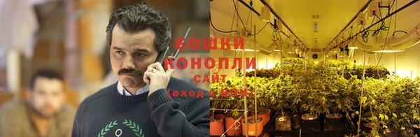 прущие грибы Алексин